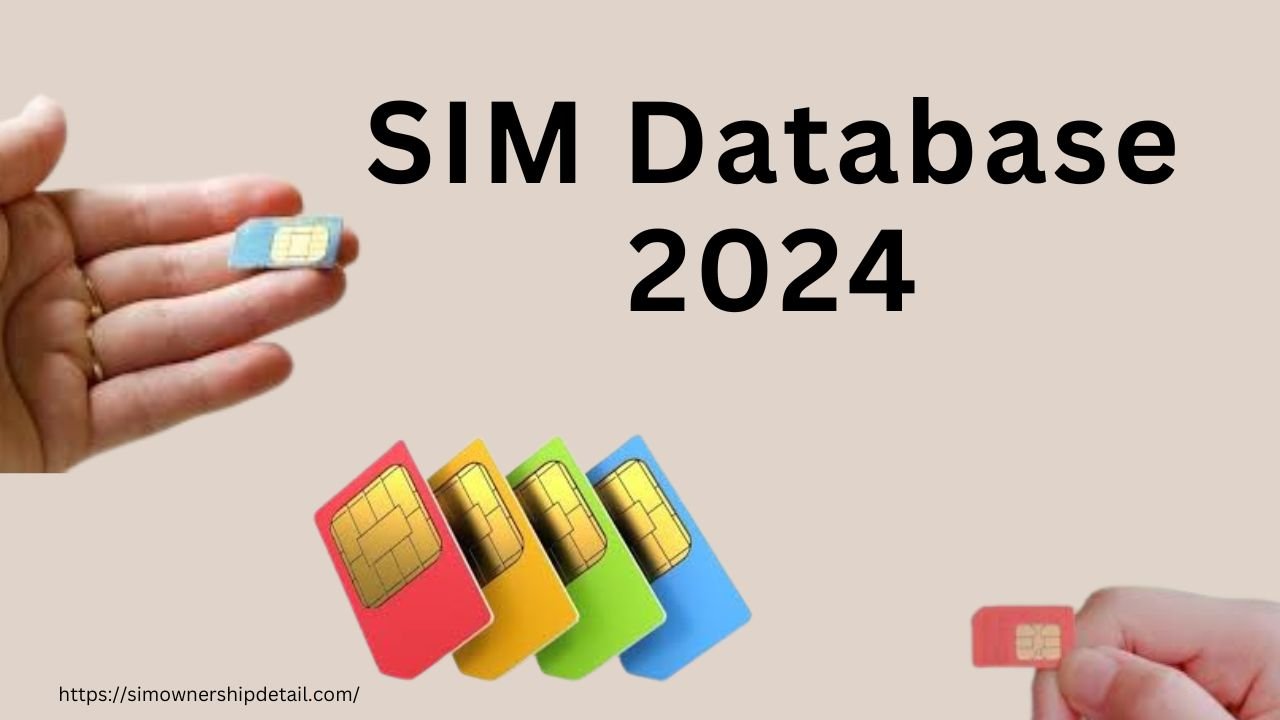 SIM Database 2024